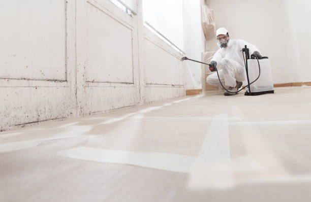 24/7 Emergency Attic Mold Remediation experts in Easton, PA